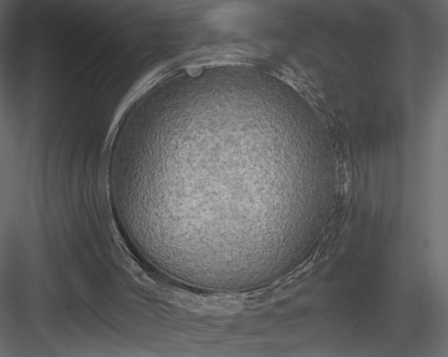 X0000083980004200702232057