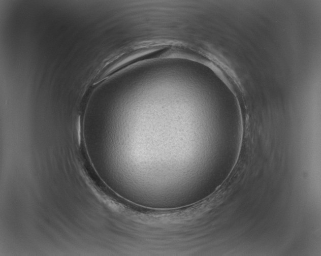 X0000083980013200702232056