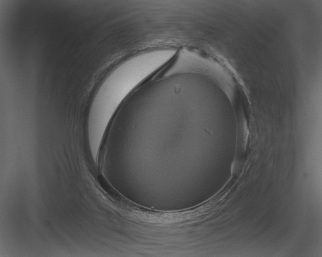 X0000083980019200702232056