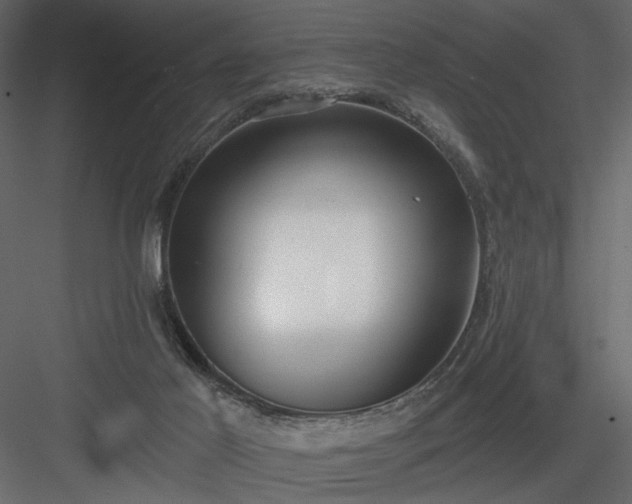 X0000083980021200702232056