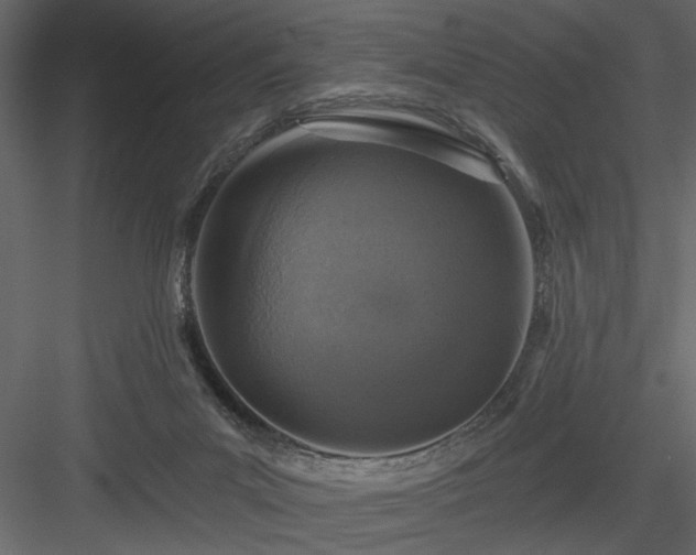 X0000083980023200702232056