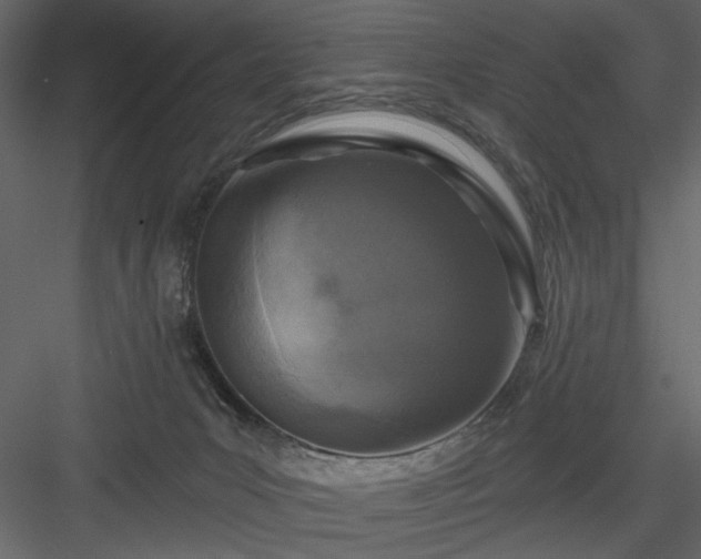 X0000083980031200702232056