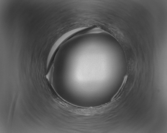 X0000083980033200702232056