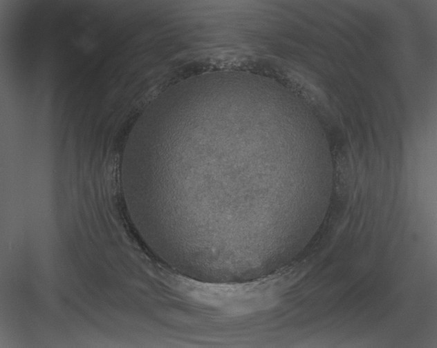 X0000083980034200702232056