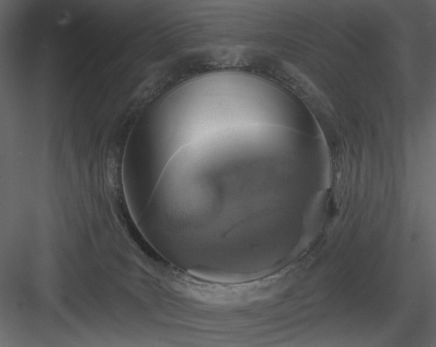 X0000083980035200702232056