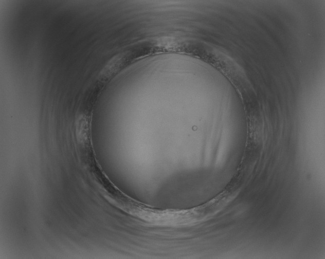 X0000083980036200702232056