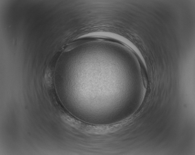X0000083980037200702232056