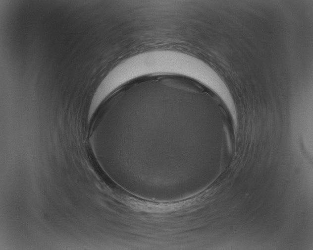X0000083980039200702232056