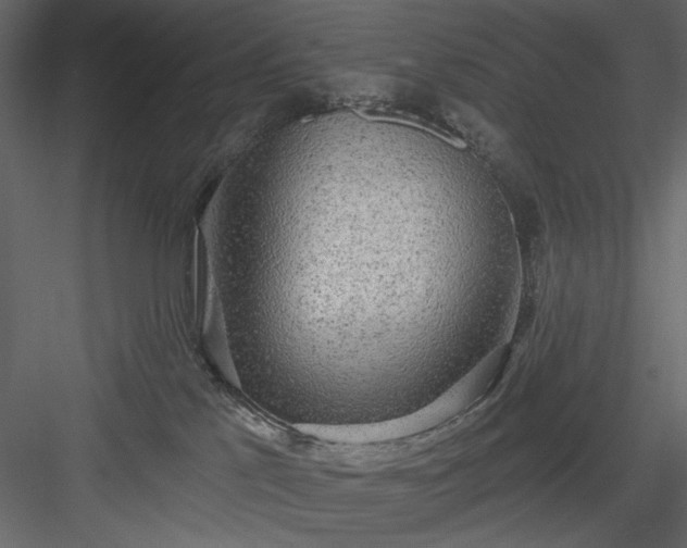 X0000083980041200702232056