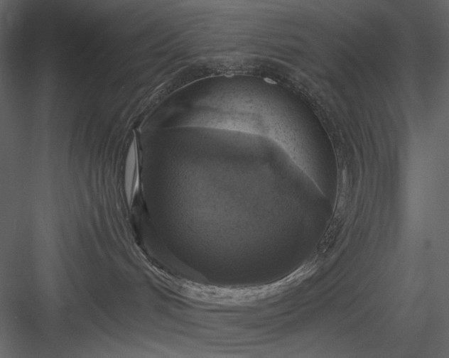 X0000083980048200702232056