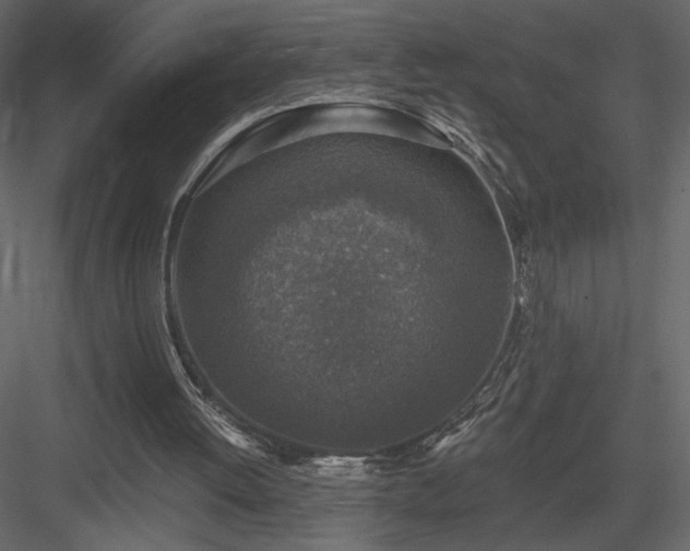 X0000083980052200702232055