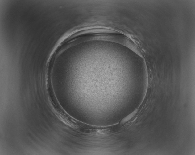 X0000083980056200702232055