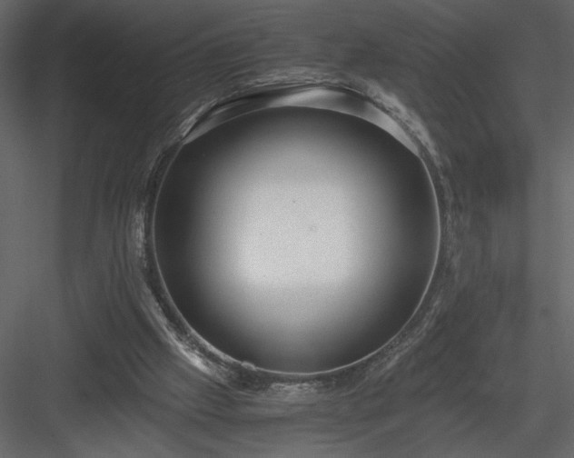X0000083980057200702232055