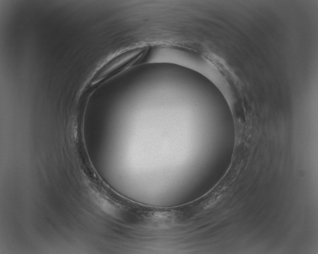 X0000083980060200702232055
