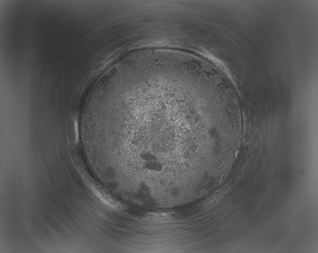 X0000083980061200702232055