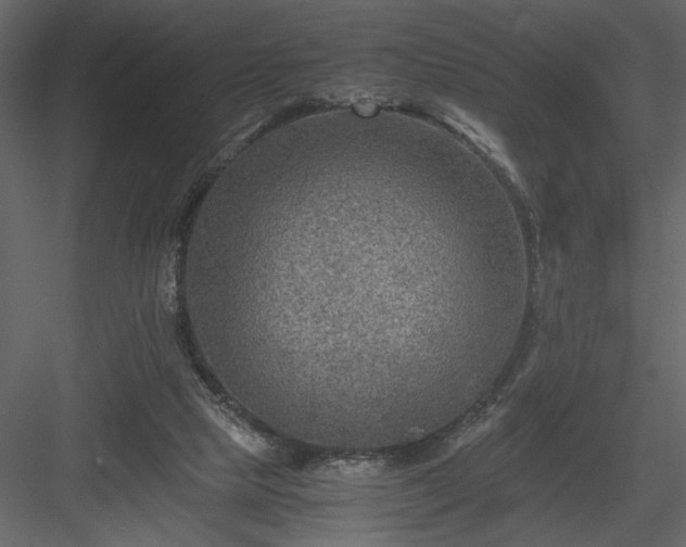 X0000083980065200702232055
