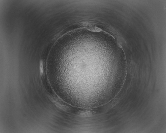 X0000083980075200702232056