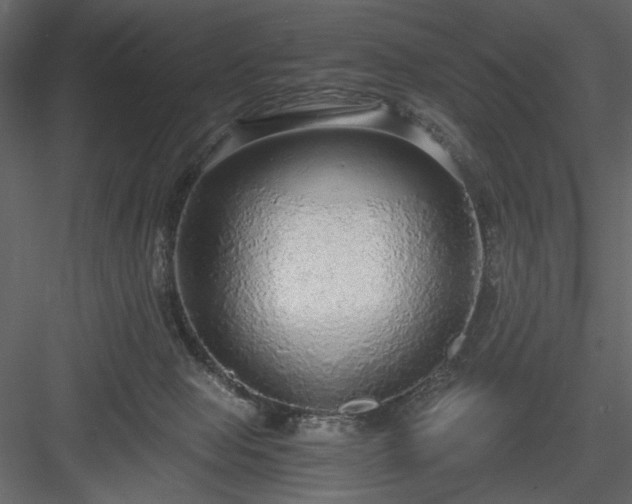 X0000083980077200702232056
