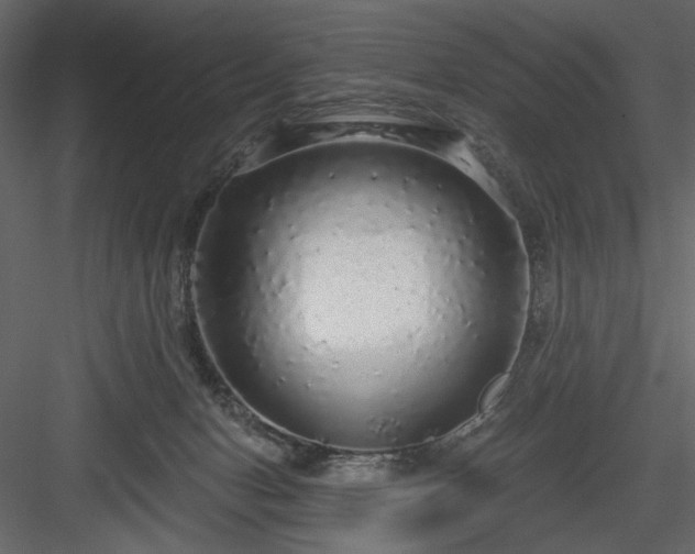 X0000083980078200702232056