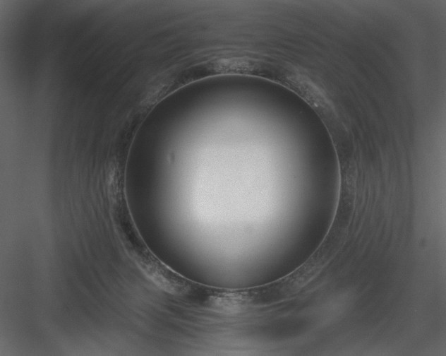 X0000083980079200702232056