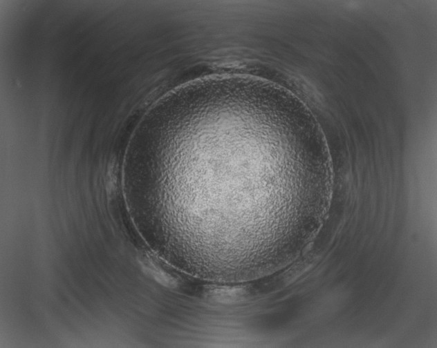 X0000083980081200702232056