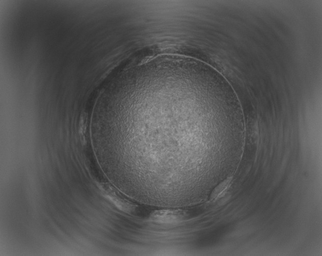 X0000083980082200702232056