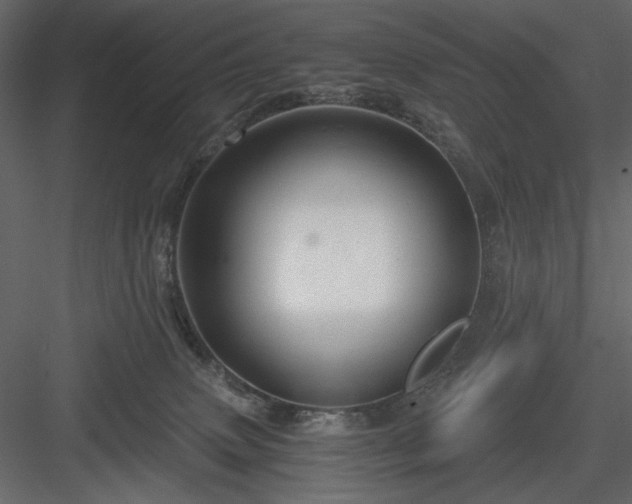 X0000083980083200702232056