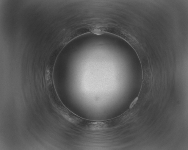 X0000083980087200702232056