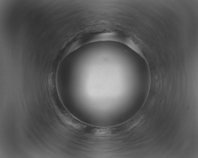 X0000083980088200702232056