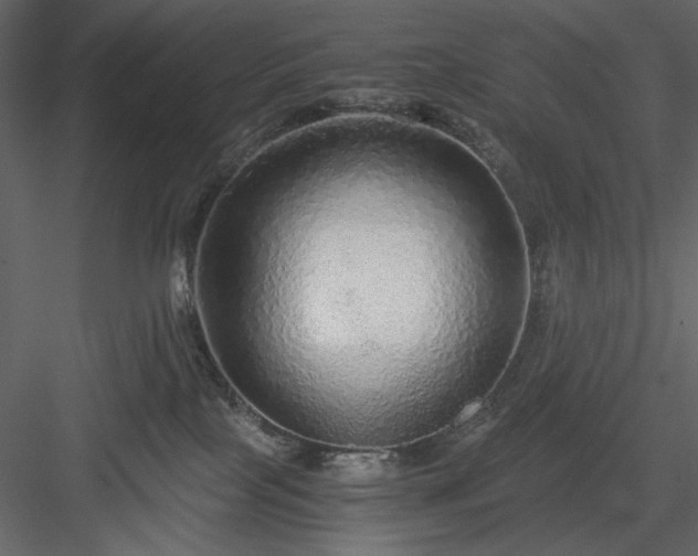 X0000083980089200702232056