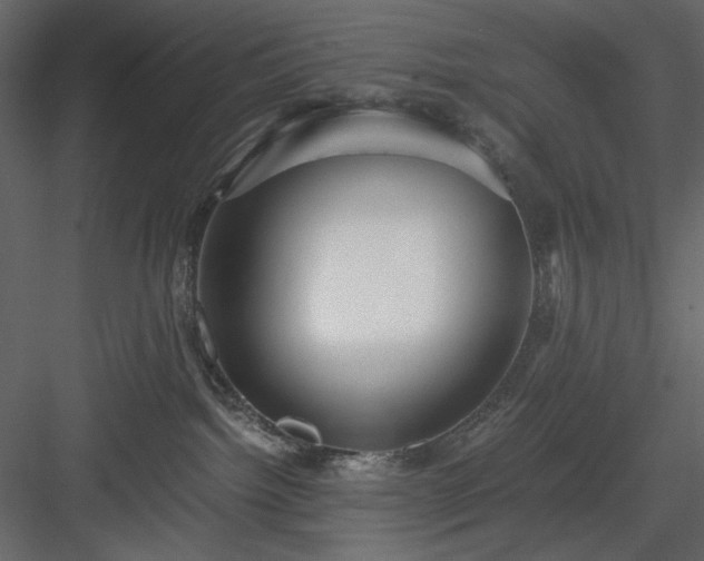 X0000083980092200702232056
