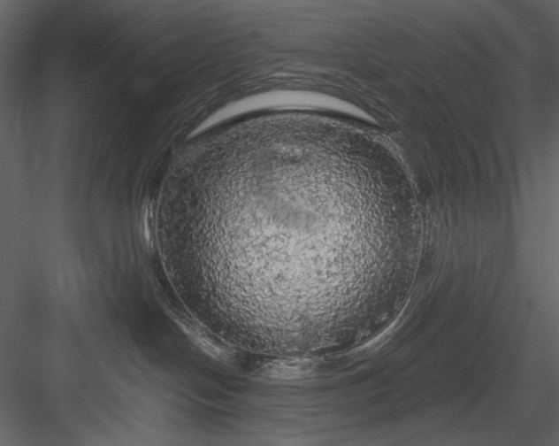 X0000083980094200702232056