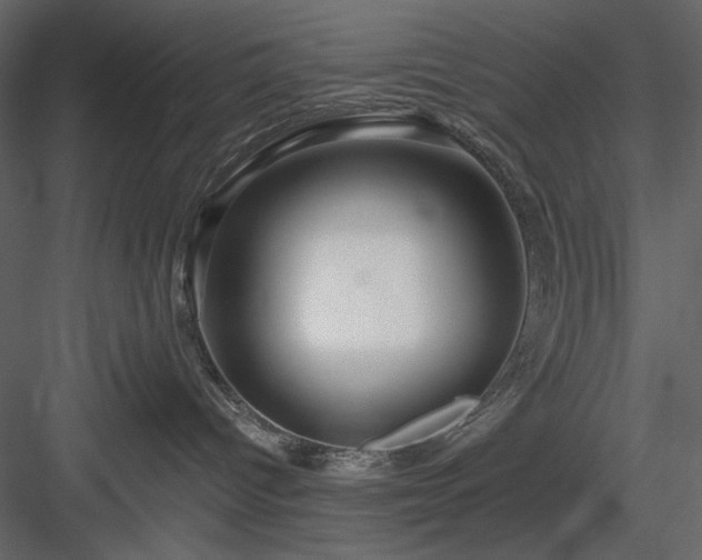 X0000083980096200702232056