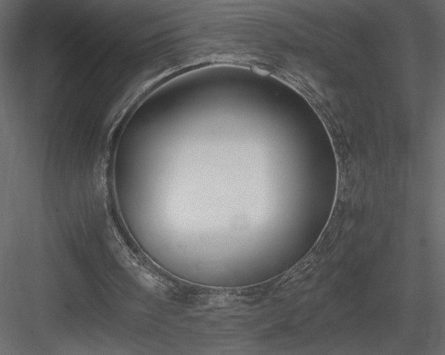 X0000083980098200702232055