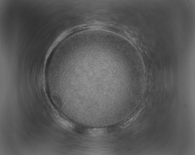 X0000083980102200702232055