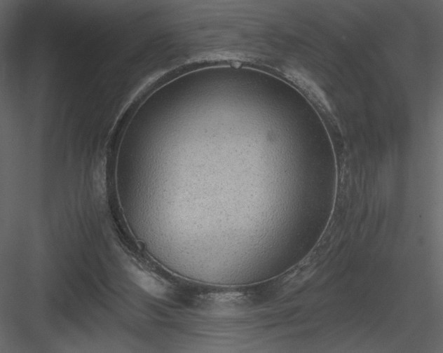 X0000083980108200702232055
