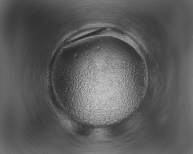 X0000083980111200702232055