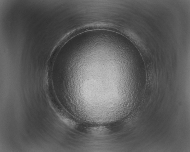 X0000083980112200702232055