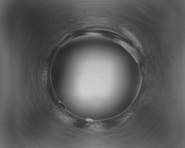 X0000083980113200702232055