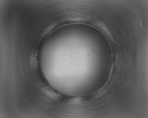 X0000083980116200702232055