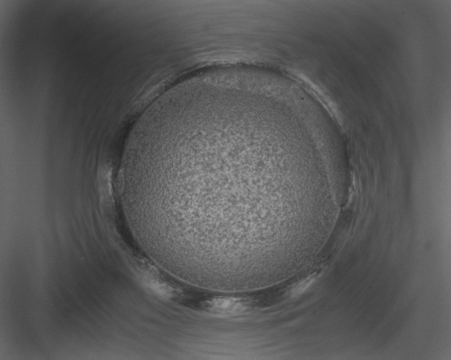 X0000083980117200702232055