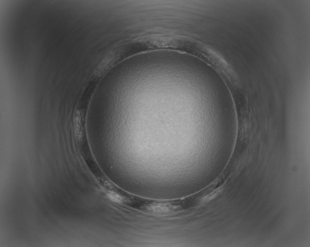 X0000083980121200702232055