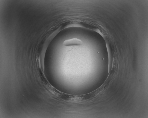 X0000083980125200702232055