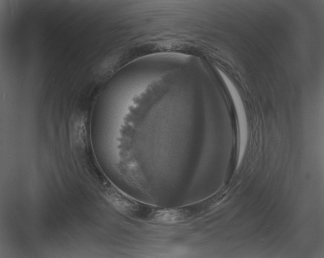 X0000083980127200702232055