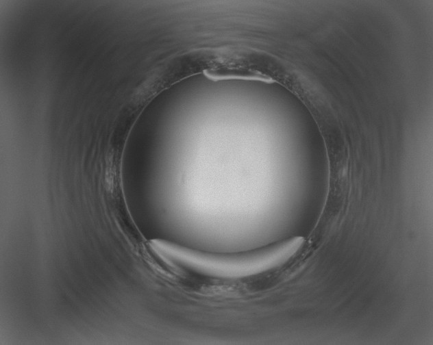 X0000083980129200702232054