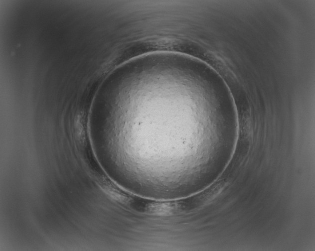 X0000083980131200702232054