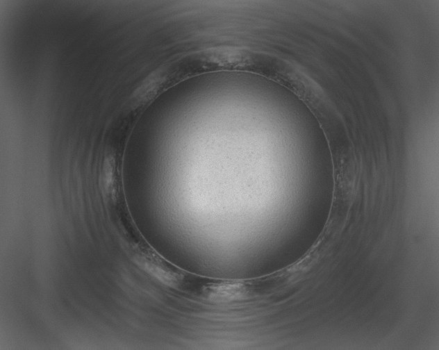 X0000083980132200702232054