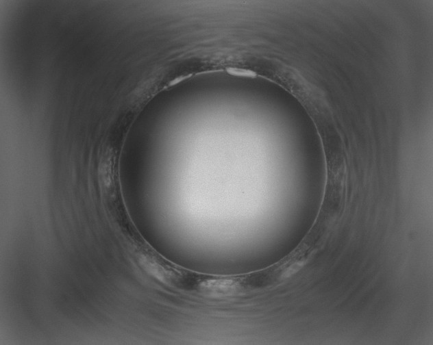 X0000083980133200702232054