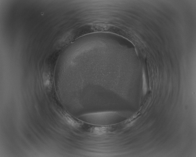 X0000083980134200702232054