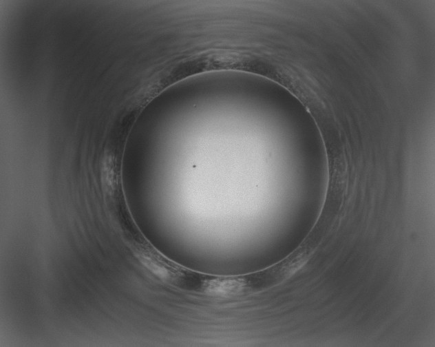 X0000083980135200702232054